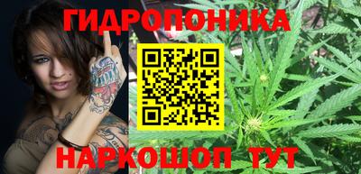 мдпв Ставрополь